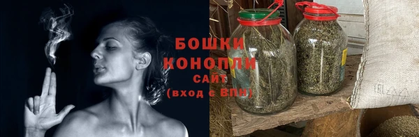 мдпв Ладушкин