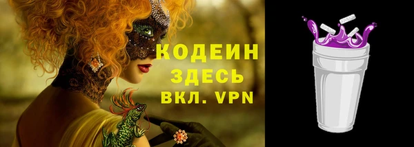 мдпв Ладушкин