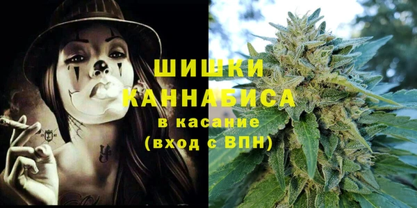 мдпв Ладушкин