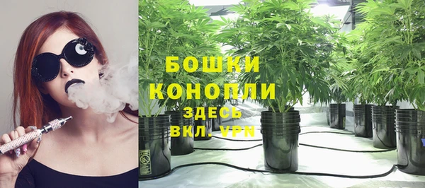 мдпв Ладушкин