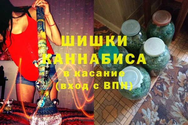 мдпв Ладушкин