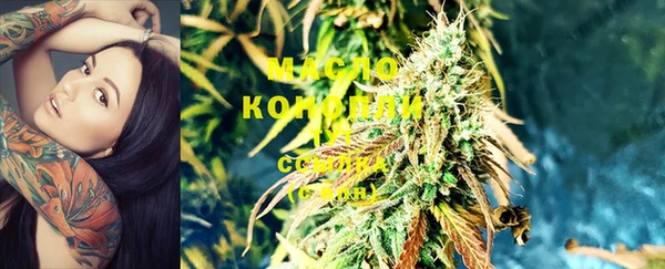 мдпв Ладушкин