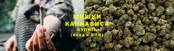 мдпв Ладушкин