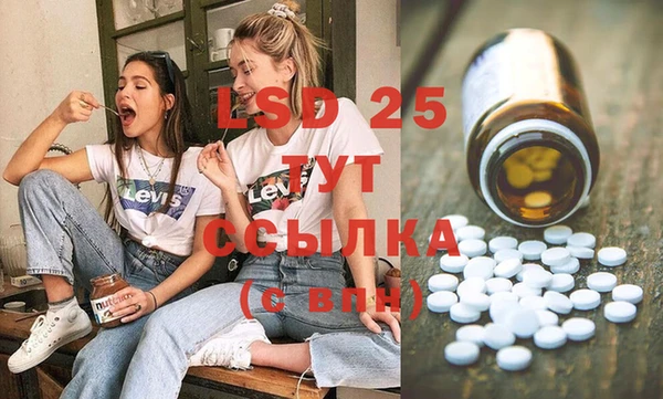мдпв Ладушкин